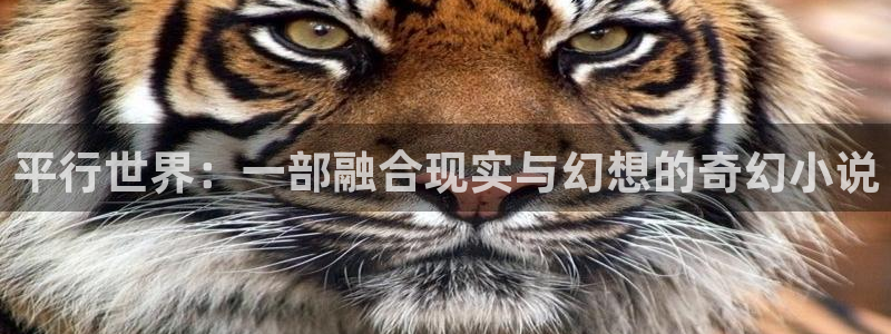彩虹多多专享：平行世界：一部融合现实与幻想的奇幻小说