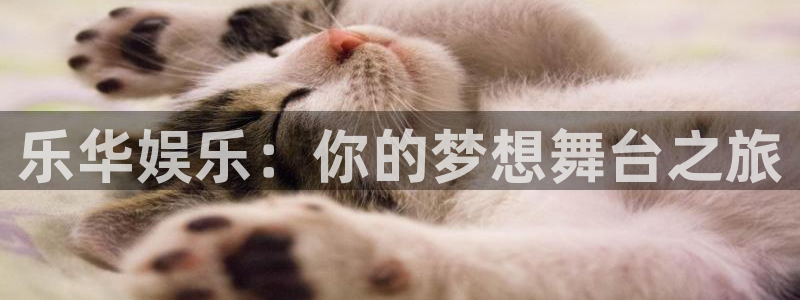 彩虹多多下载链接：乐华娱乐：你的梦想舞台之旅