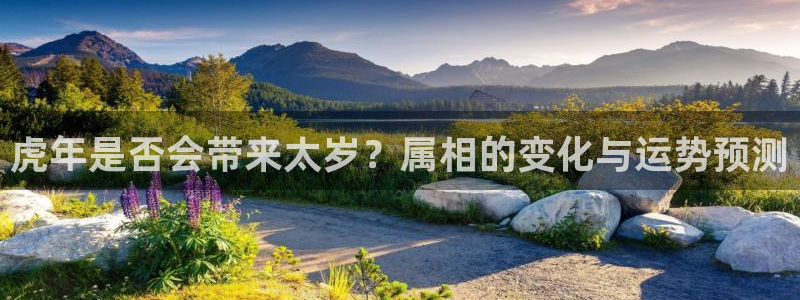 彩虹多多app安全吗：虎年是否会带来太岁？属相的变化与运势预测