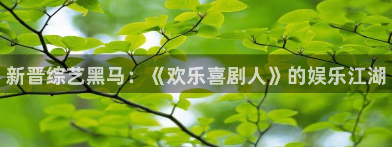 下载新版彩虹多多：新晋综艺黑马：《欢乐喜剧人》的娱乐江湖