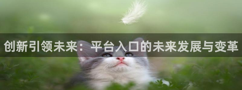 彩虹多多为什么下载不了：创新引领未来：平台入口的未来发展与变革