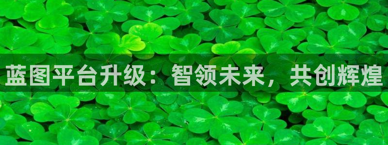 彩虹多多ap：蓝图平台升级：智领未来，共创辉煌