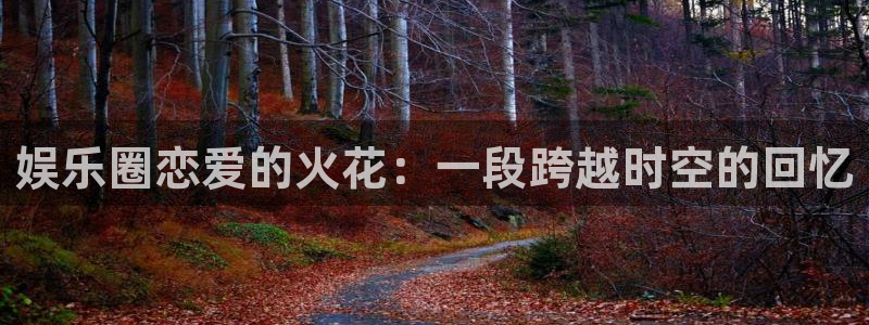 彩虹多多正版安装方法：娱乐圈恋爱的火花：一段跨越时空的回忆