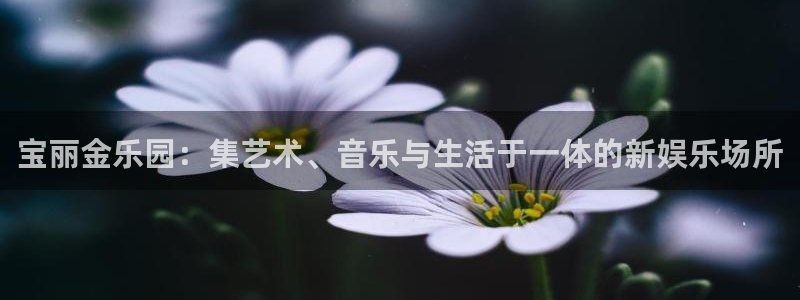 彩虹多多怎么用：宝丽金乐园：集艺术、音乐与生活于一体的新娱乐场所