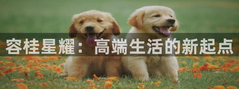 下载安装彩虹多多app：容桂星耀：高端生活的新起点