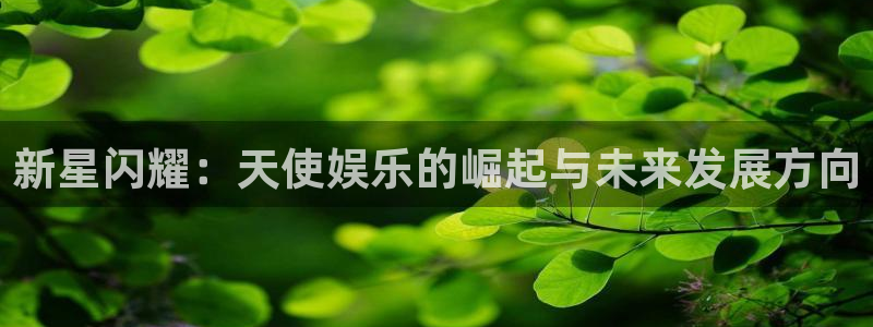 彩虹多多官方官网：新星闪耀：天使娱乐的崛起与未来发展方向