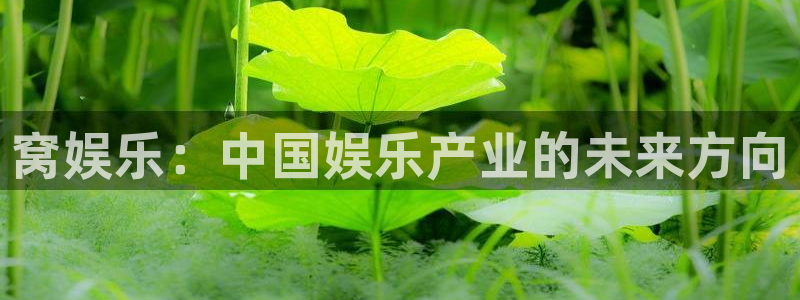 彩虹多多内购破解版：窝娱乐：中国娱乐产业的未来方向