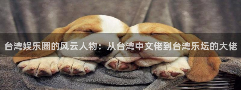 怎样下载老版彩虹多多：台湾娱乐圈的风云人物：从台湾中文佬到台湾乐坛的大佬