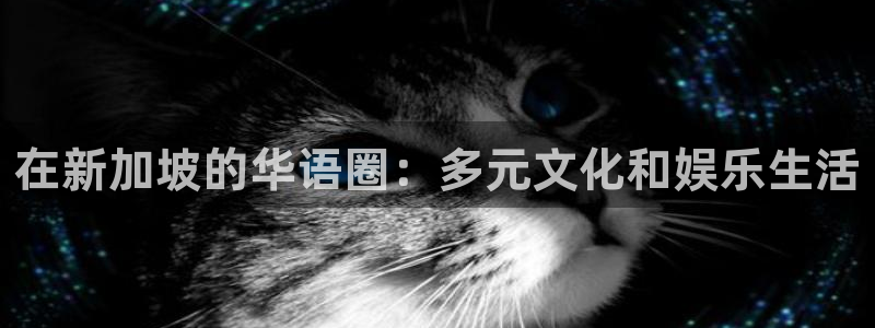 彩虹多多图片：在新加坡的华语圈：多元文化和娱乐生活