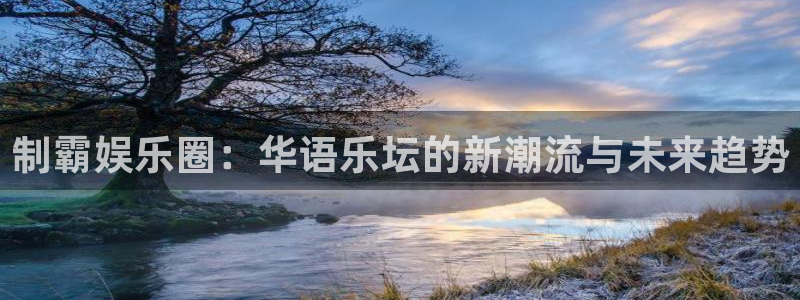 彩虹多多新版本下载：制霸娱乐圈：华语乐坛的新潮流与未来趋势