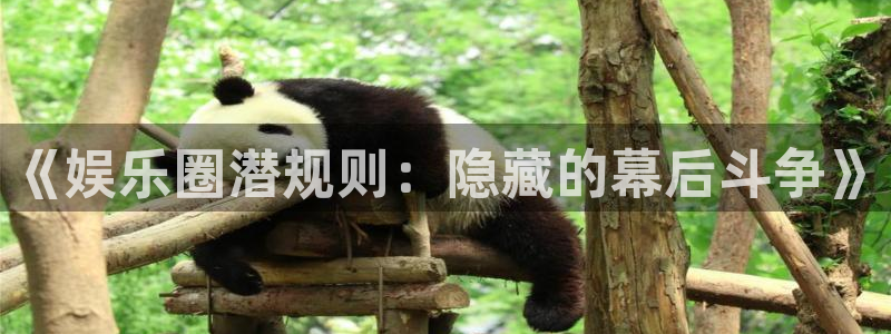 怎么下载彩虹多多：《娱乐圈潜规则：隐藏的幕后斗争》