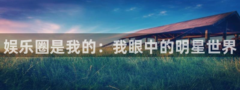 彩虹多多app官网下载：娱乐圈是我的：我眼中的明星世界