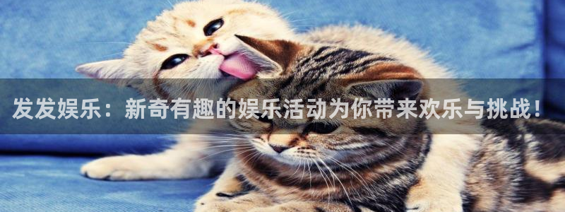 彩虹多多最新安卓手机版：发发娱乐：新奇有趣的娱乐活动为你带来欢乐与挑战！