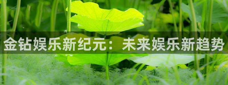 彩虹多多正版下载：金钻娱乐新纪元：未来娱乐新趋势