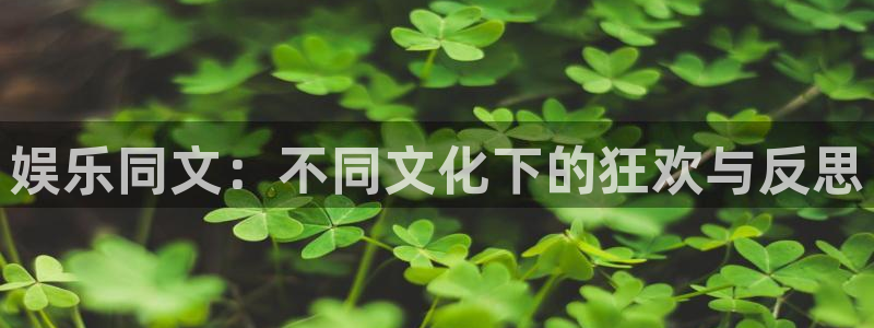 彩虹多多下载app：娱乐同文：不同文化下的狂欢与反思