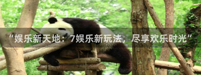 彩虹多多下载地址：“娱乐新天地：7娱乐新玩法，尽享欢乐时光”