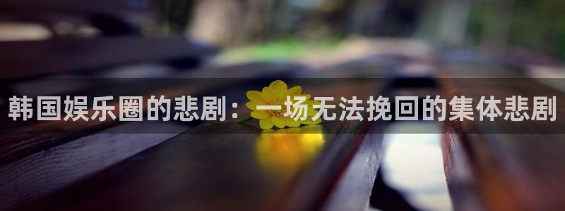 2025彩虹多多免费版：韩国娱乐圈的悲剧：一场无法挽回的集体悲剧
