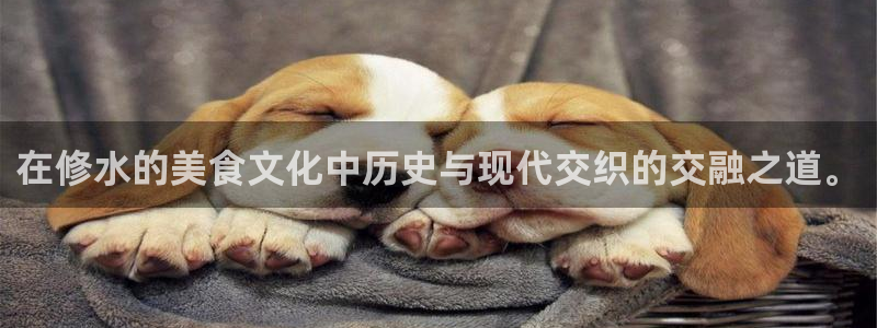彩虹多多下载安装：在修水的美食文化中历史与现代交织的交融之道。
