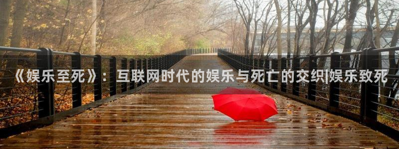 给我下载一个彩虹多多：《娱乐至死》：互联网时代的娱乐与死亡的交织|娱乐致死