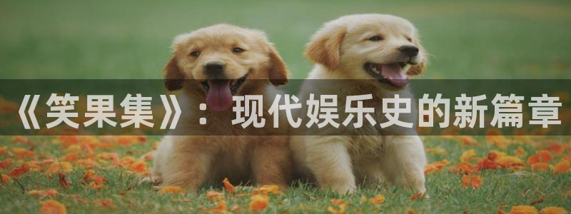 彩虹多多极速版app下载：《笑果集》：现代娱乐史的新篇章