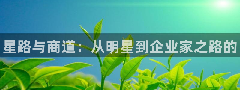 彩虹多多2025：星路与商道：从明星到企业家之路的