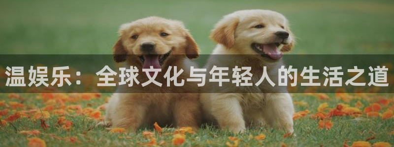 彩虹多多app：温娱乐：全球文化与年轻人的生活之道