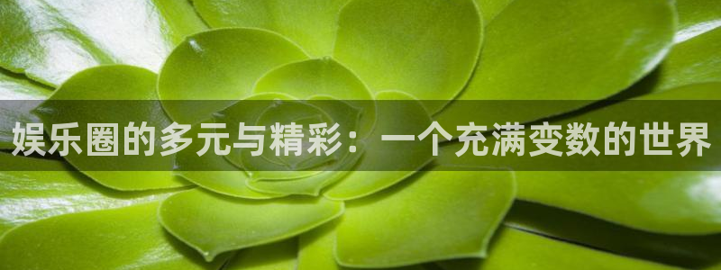 彩虹多多 下载安装：娱乐圈的多元与精彩：一个充满变数的世界
