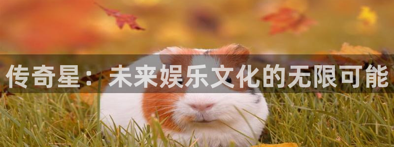 彩虹多多官网：传奇星：未来娱乐文化的无限可能