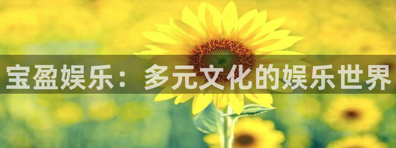 彩虹多多模拟选号：宝盈娱乐：多元文化的娱乐世界