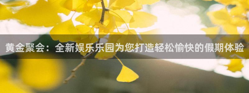 彩虹多多多：黄金聚会：全新娱乐乐园为您打造轻松愉快的假期体验