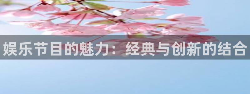 下载彩虹多多新版本：娱乐节目的魅力：经典与创新的结合