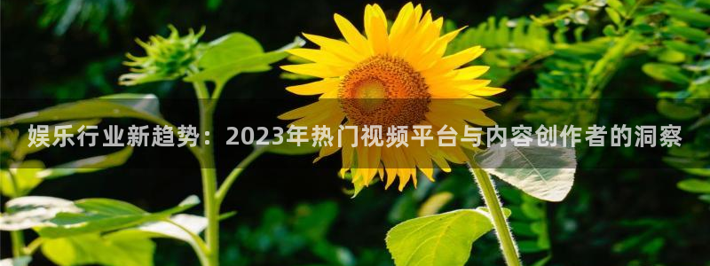 怎么删除彩虹多多：娱乐行业新趋势：2023年热门视频平台与内容创作者的洞察