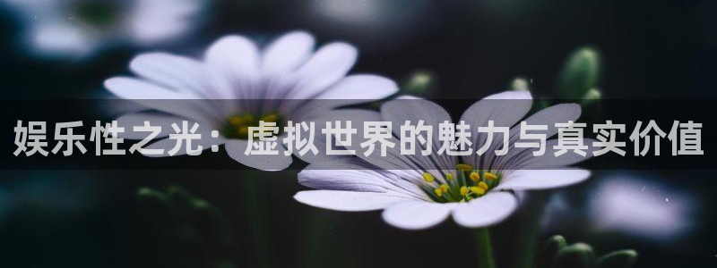 彩虹多多选号工具