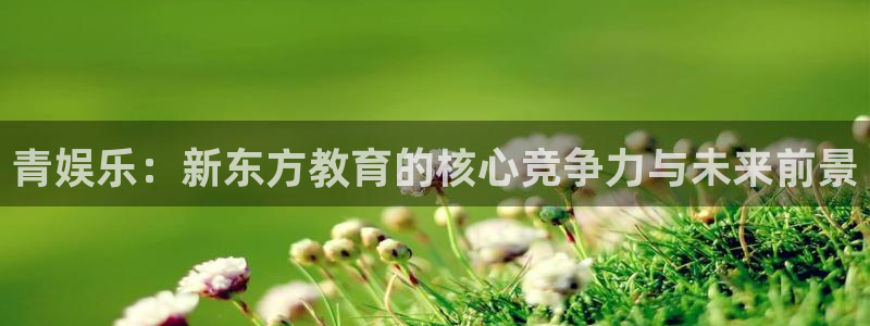 电脑版彩虹多多：青娱乐：新东方教育的核心竞争力与未来前景